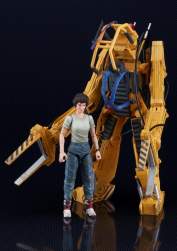 343137 B