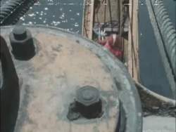 8154698 B