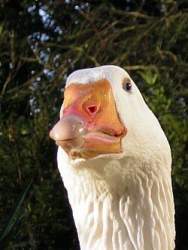 19205 B