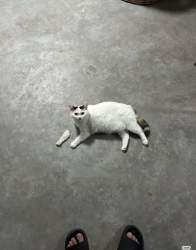 289936 B