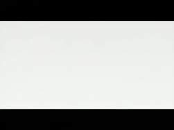 8137049 B