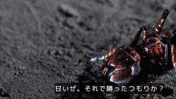 120444 B