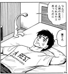 259264 B