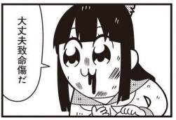24066 B