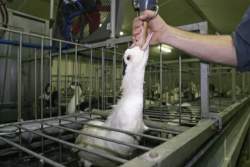 491469 B