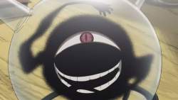 23776 B