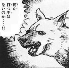 25095 B