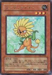 50506 B