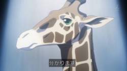 25665 B