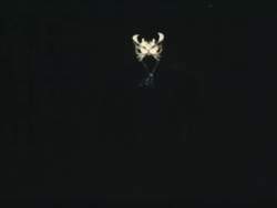 8172662 B