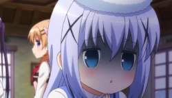 21446 B