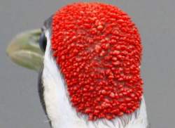 110949 B