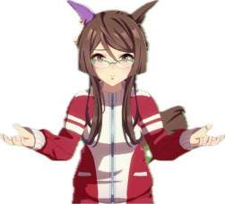 55662 B