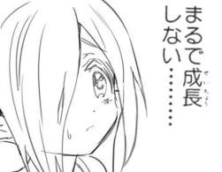 25523 B