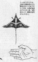 8841 B