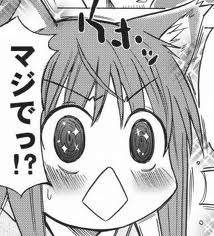 14294 B