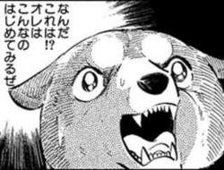 207522 B