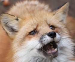89992 B
