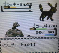 82037 B