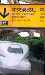 3116633 B