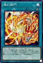 202993 B
