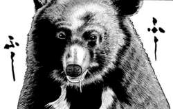 377403 B