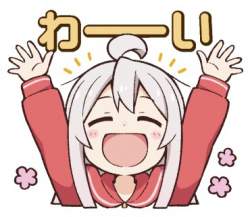 53531 B