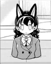 84623 B