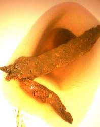 1120870 B