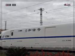 1130978 B