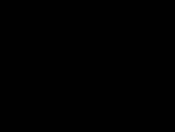 7637035 B
