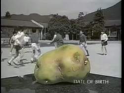 5865925 B