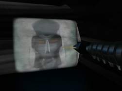 23133 B