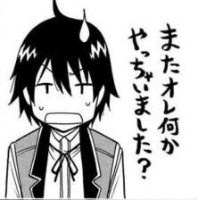 55891 B