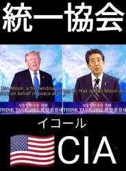 217343 B