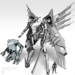 807095 B