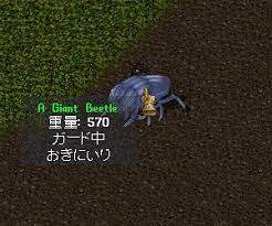 9571 B