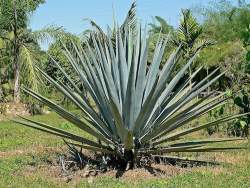 103095 B
