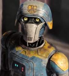 21298 B