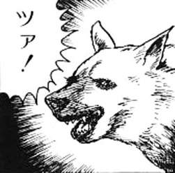 24896 B