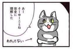 35951 B