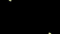 5397833 B