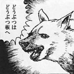 66474 B