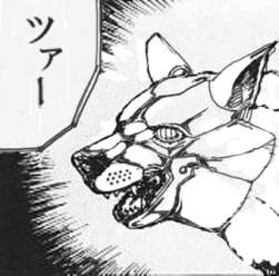 63494 B