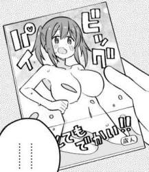 34644 B