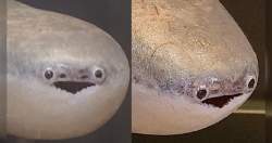 96669 B