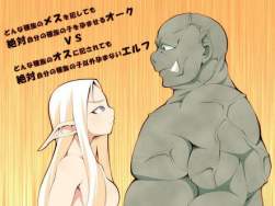49204 B
