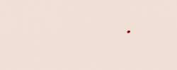 1724 B