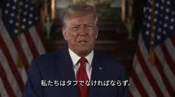 50478 B