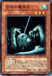 30536 B